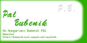 pal bubenik business card